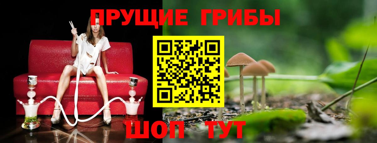 Галлюциногенные грибы ЛСД  Галлюциногенные грибы ЛСД  Бердск  Вход с VPN 